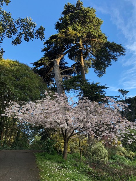 60684183058__7FF7A067-C7F9-41BF-867F-C630AD4F98C7