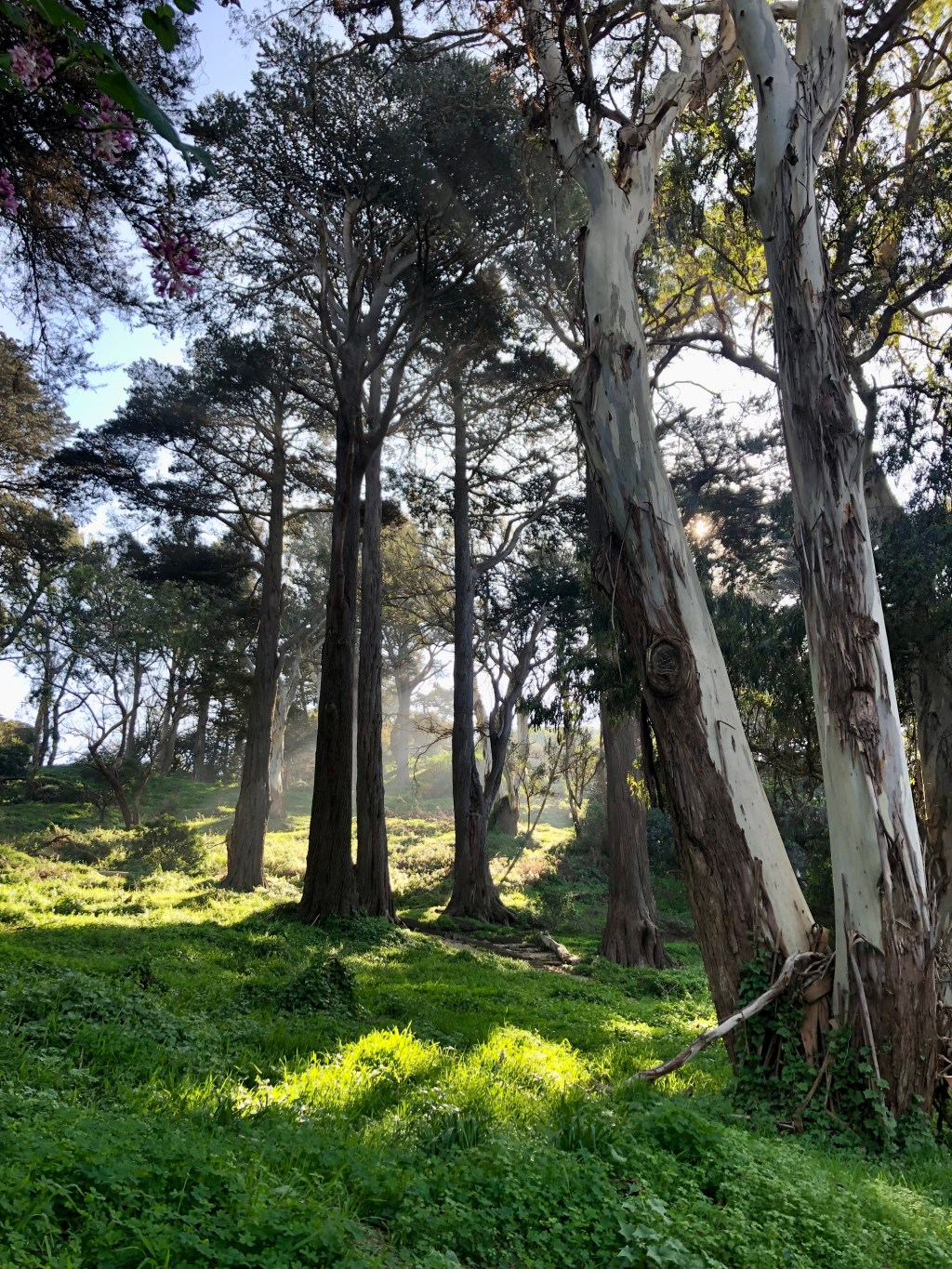 Proceed as if&nbsp;Normal